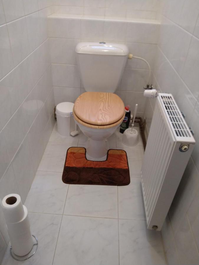 Apartman U Cechu アルブレフティツェ・フ・イゼルスキーフ・ホラーフ エクステリア 写真