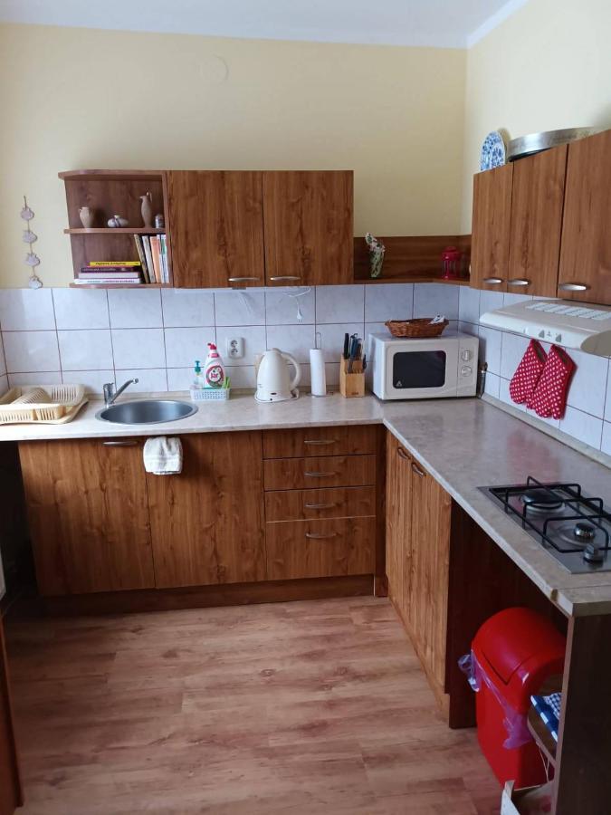 Apartman U Cechu アルブレフティツェ・フ・イゼルスキーフ・ホラーフ エクステリア 写真