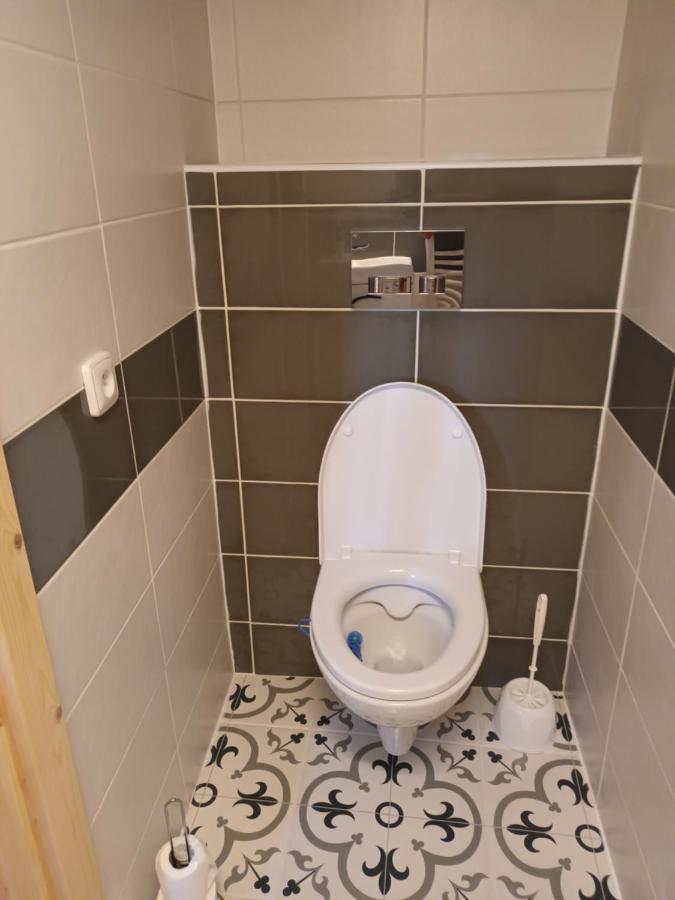 Apartman U Cechu アルブレフティツェ・フ・イゼルスキーフ・ホラーフ エクステリア 写真